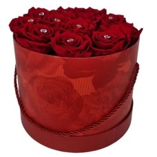 RoseAmor red/red
