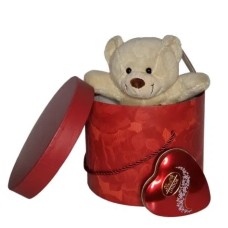 Teddy in the box