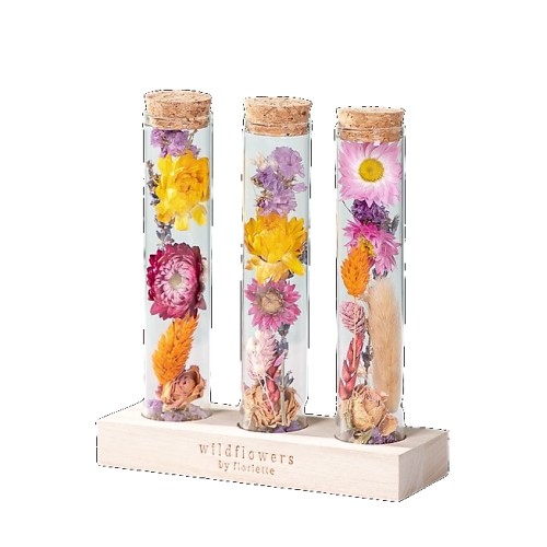 Dried flower Message in a bottle