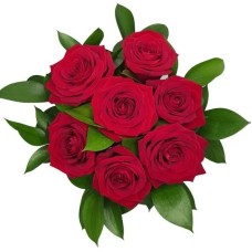 Red roses