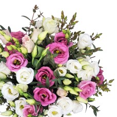 Lisianthus