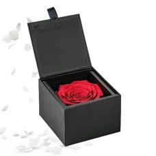 Infinity Rose Xxl