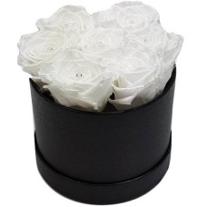 Rosebox 7W
