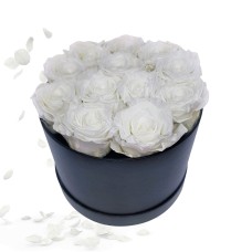 Rose Box 12Xwhite