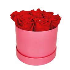 Rosebox 7x red