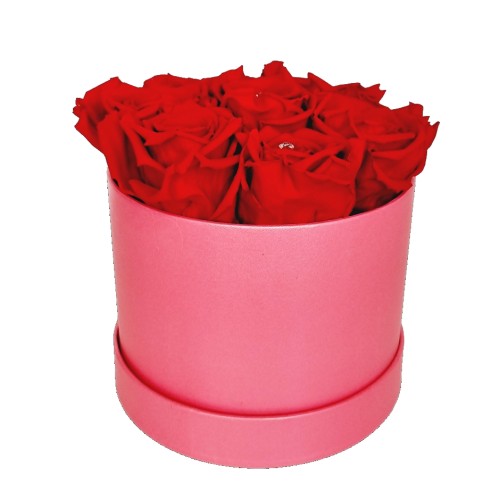 Rosebox 7x red