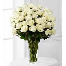 36 Long Stem White Roses