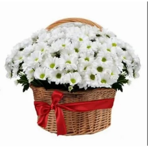 Composition basket Chrysanthemum daisy white