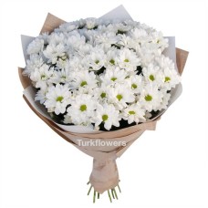 White daisy Bouquet
