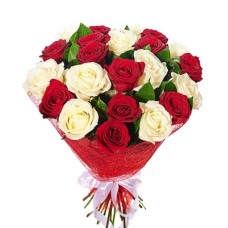 25 White and Red Roses