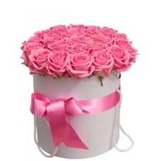 25 pink Roses