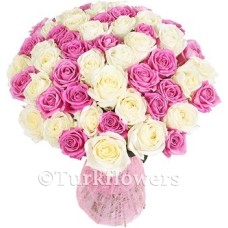 51 Pink White Roses