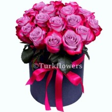 21 Purple Roses in Box