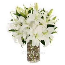 White Lily in Vase