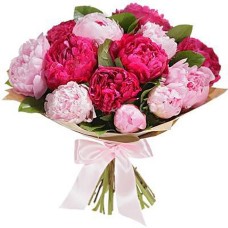 Dark pink and light pink peony