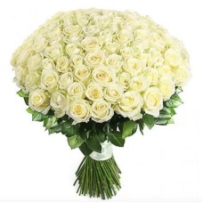 101 White Roses