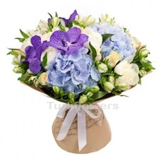 Hydrangea Vanda