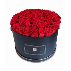 42-46 Red Long Lasting Roses