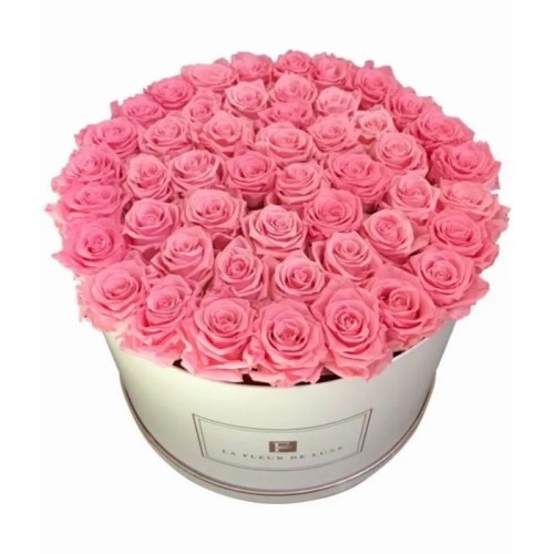42-46 Pink Long Lasting Roses