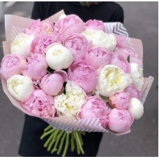 25 Pink and white peony