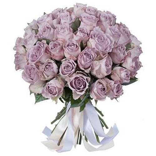 81 Lilac Kenya Roses