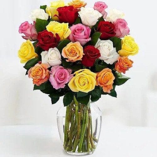 25 Color Roses