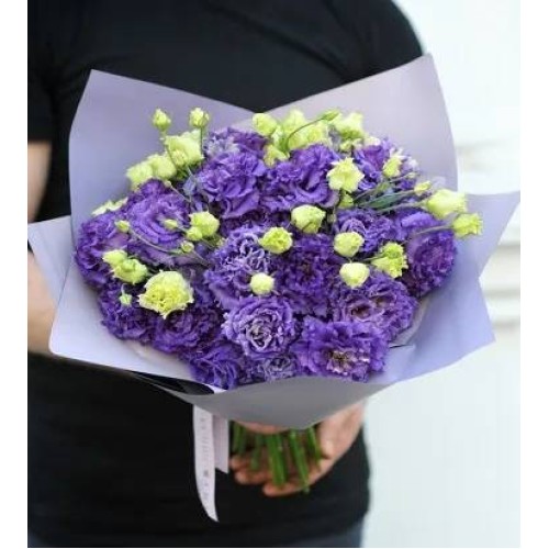 Purple Lisianthus
