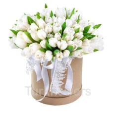 51 white Tulips in box
