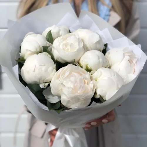 11 White peony
