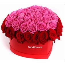 Red and Pink Hearth