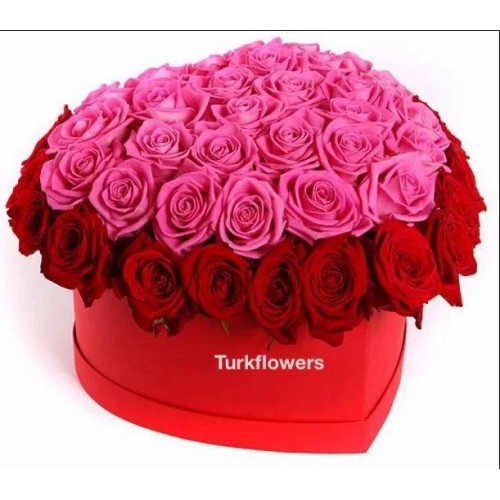 Red and Pink Hearth