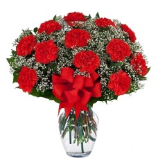 12 Red Carnations