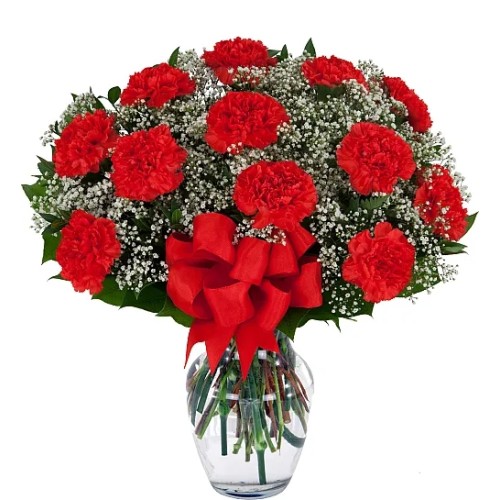 12 Red Carnations
