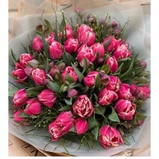 35 Pink Tulips