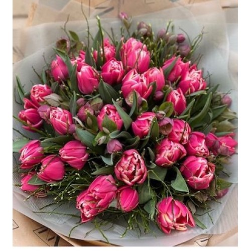 35 Pink Tulips
