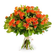 12 Spray Orange Roses