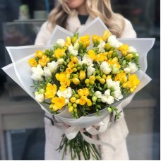 Yellow and White Freesia