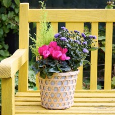 Outdoor Autumnal Planter