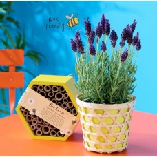 Lavender Bee Bundle