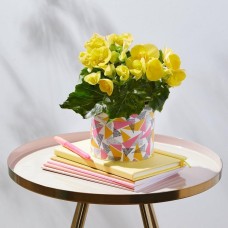 Blooming Sunshine