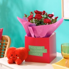 Be My Valentine