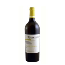 Falanghina Via Del Campo Quintodecimo 2019