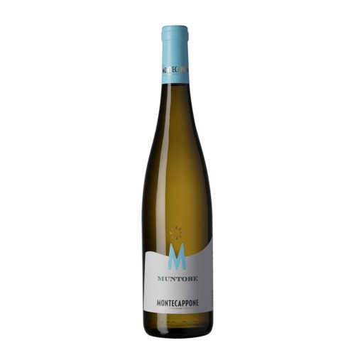 Verdicchio Dei Castelli Of Jesi Classico Superiore Muntobe Montecappone 2019