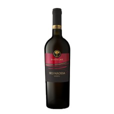 Salice Salentino Reserve Selvarossa Due Palme 2017