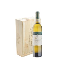 Box Verdicchio Jesi Classic Reserve 'Salmariano' Marotti Campi