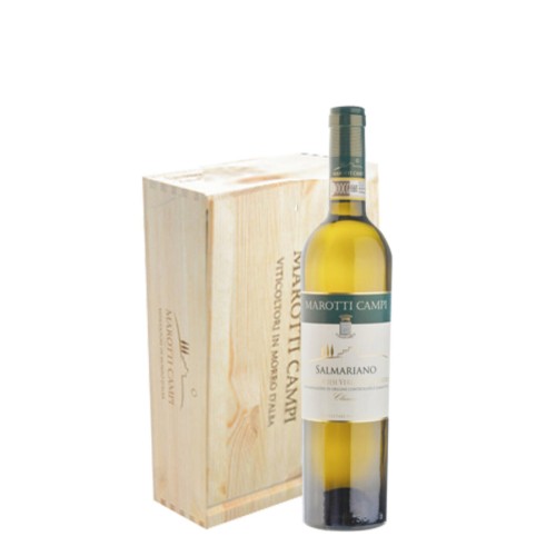 Box Verdicchio Jesi Classic Reserve 'Salmariano' Marotti Campi