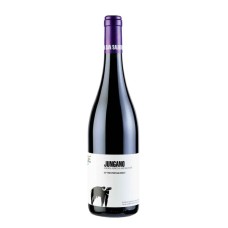 Aglianico 'Jungano' San Salvatore 2020