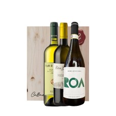Kit Piedmont Whites (3bt)
