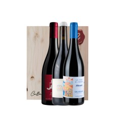 Kit Beaujolais (3bt)