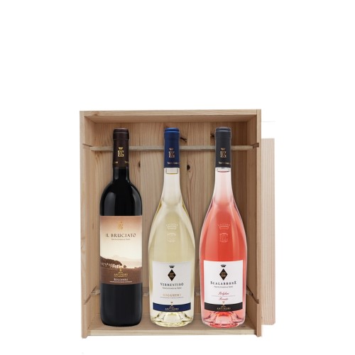 Box 'Bruciato-Vermentino-Scalabrone' Guado al Tasso - Antinori (3bt)